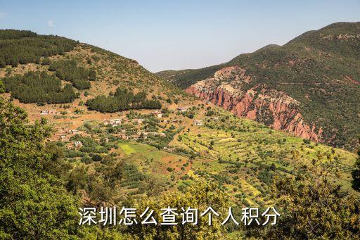 深圳入戶積分查詢，深圳怎么查詢?nèi)霊舴e分