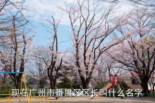 樓旭逵，現(xiàn)在廣州市番禺區(qū)區(qū)長叫什么名字
