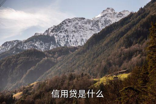 信用貸是什么