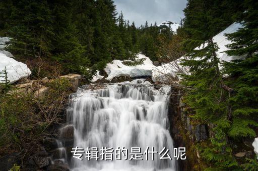 專輯是什么樣子的，專輯指的是什么呢