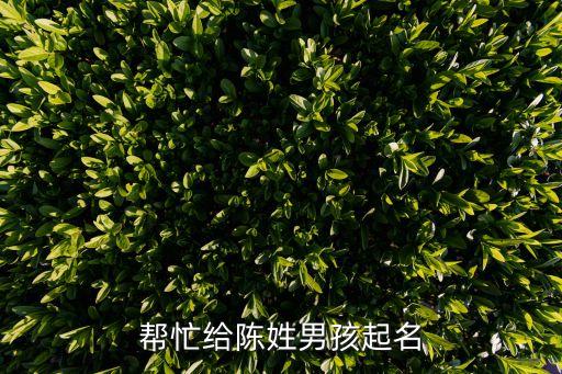幫忙給陳姓男孩起名
