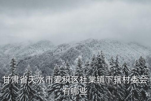 社棠，社棠火車站為什么歸陜西管