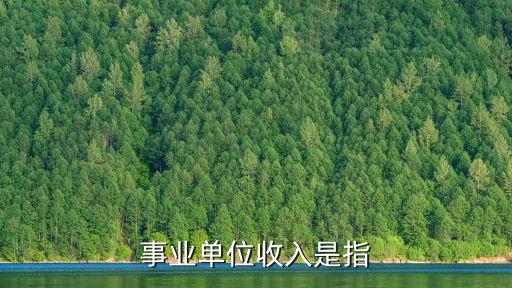 事業(yè)單位收入是指