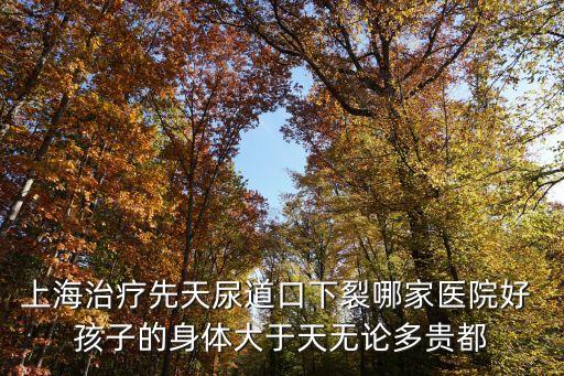 上海治療先天尿道口下裂哪家醫(yī)院好 孩子的身體大于天無論多貴都