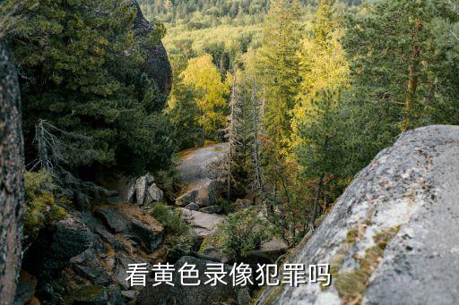 黃色錄像一級，看黃色錄像犯法嗎