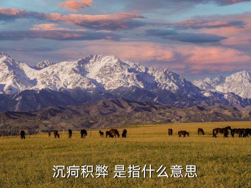 沉疴積弊，沉疴積弊 是指什么意思