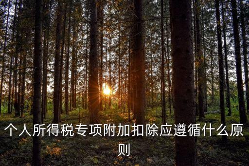個人專項(xiàng)扣除，個人所得稅專項(xiàng)附加扣除應(yīng)遵循什么原則
