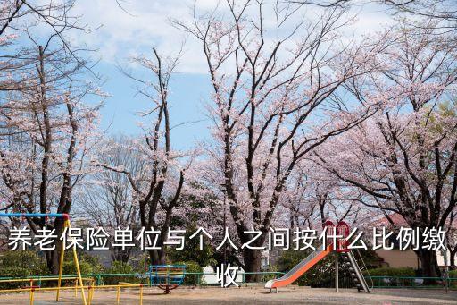 養(yǎng)老保險單位與個人之間按什么比例繳收