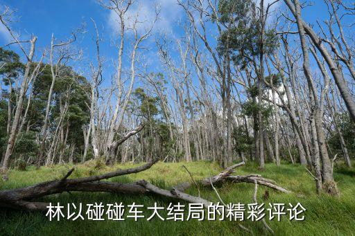 林以碰碰車大結(jié)局的精彩評論