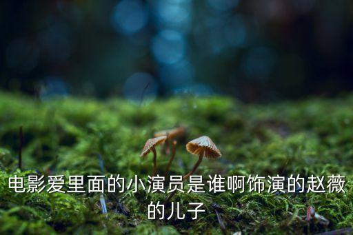 孫建君，給姓孫的建字輩的女孩起名字