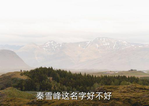 秦雪峰，秦雪峰這個(gè)名子有含義嘛什么含義