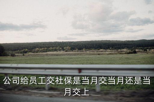 社保是當(dāng)月交當(dāng)月的還是交上月的，社保是當(dāng)月交上月嗎