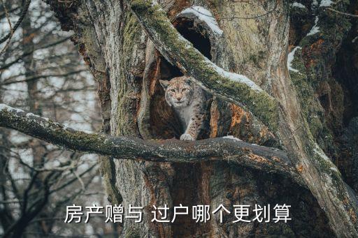房產贈與和過戶哪個劃算，房屋贈與和過戶費用哪個劃算啊