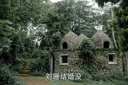 劉珊，劉珊政治老師怎么樣