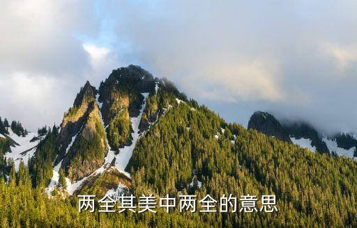 兩全的意思是什么，兩全其美中兩全的意思