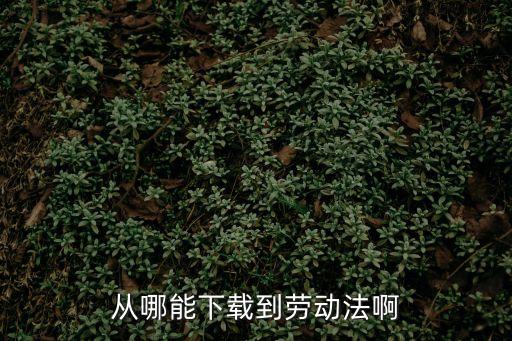 從哪能下載到勞動法啊