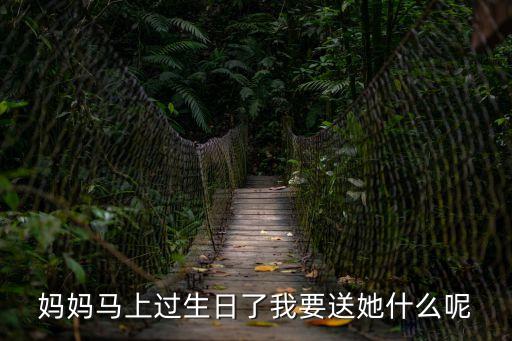 媽媽馬上過生日了我要送她什么呢