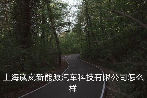 上海崴嵐新能源汽車科技有限公司怎么樣