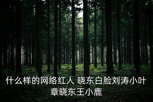 王小鹿，什么樣的網絡紅人 曉東白臉劉濤小葉章曉東王小鹿