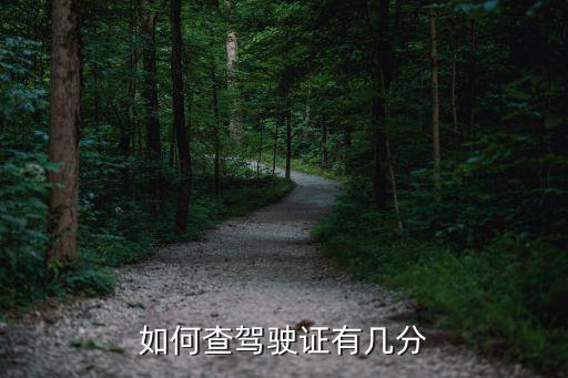 怎么查駕駛證分?jǐn)?shù)，駕駛的分?jǐn)?shù)怎么查