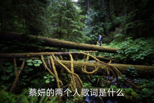 二個人，兩個人念什么