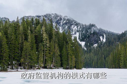 政府監(jiān)管機構(gòu)的模式有哪些