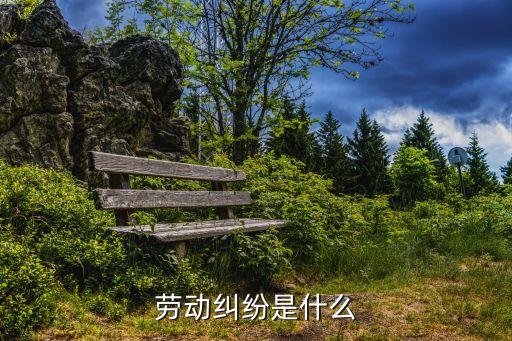 勞動糾紛，勞動糾紛是什么