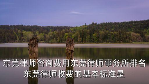 東莞律師，東莞的法庭律師是哪幾位比較出色