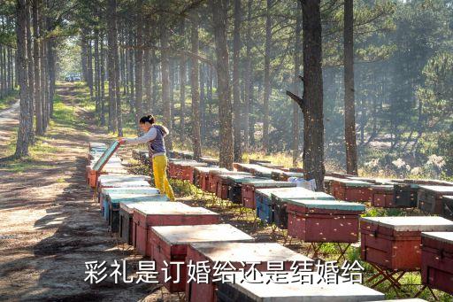 彩禮是訂婚給還是結(jié)婚給