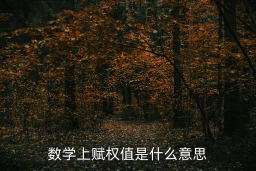 數(shù)學(xué)上賦權(quán)值是什么意思