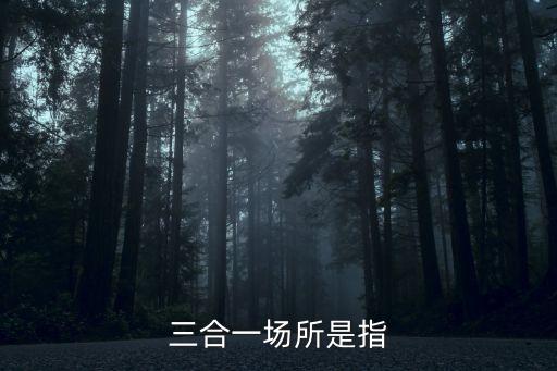 三合一場(chǎng)所是指，什么是三合一場(chǎng)所