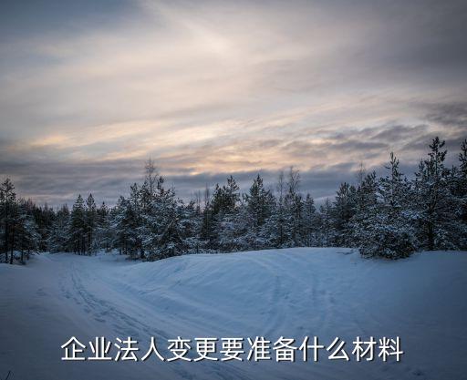 法人變更需要的資料，企業(yè)法人變更要準備什么材料