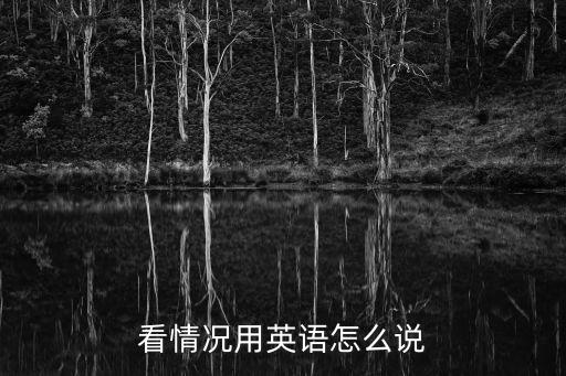 看情況用英語怎么說