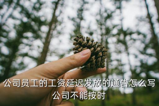 工資延遲發(fā)放通知，公司員工的工資延遲發(fā)放的通告怎么寫公司不能按時
