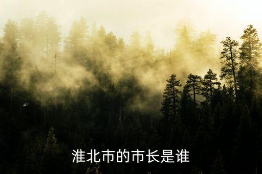 張友軍，淮北市的市長是誰