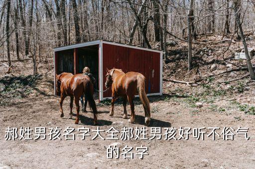 郝愛(ài)軍，黑龍江省中醫(yī)藥學(xué)校 怎么樣
