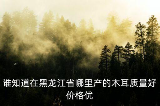 夏明龍，南京月尚夜上海餐飲有限公司雨花分公司怎么樣