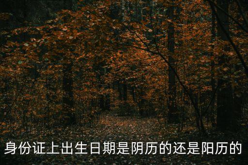 身份證上出生日期是陰歷的還是陽歷的