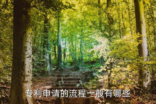 專(zhuān)利申請(qǐng)的流程一般有哪些