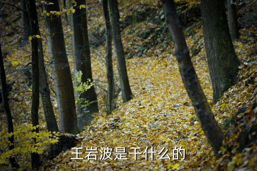 王延波，求寶寶起名 姓王 延字輩男孩