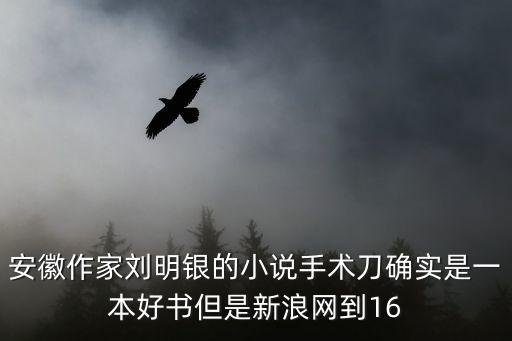 劉明銀，安徽作家劉明銀的小說手術(shù)刀確實是一本好書但是新浪網(wǎng)到16