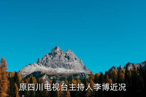 李博，原四川電視臺主持人李博近況
