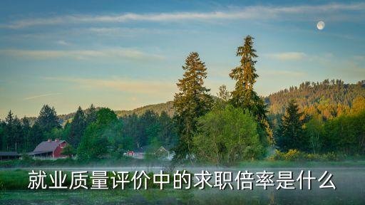 求人倍率，求人倍率的定義