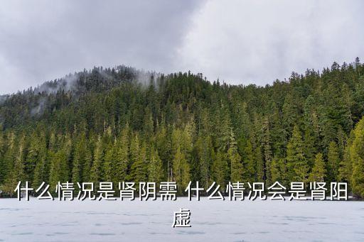 什么情況是腎陰需 什么情況會是腎陽虛