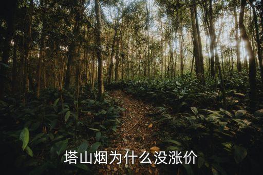 塔山煙，塔山煙為什么沒(méi)漲價(jià)