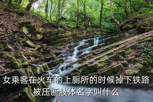 女乘客在火車的上廁所的時候掉下鐵路被壓斷肢體名字叫什么