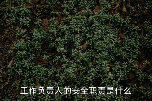 工作負責人的安全職責是什么