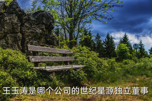 王玉濤，王玉濤是哪個公司的世紀星源獨立董事