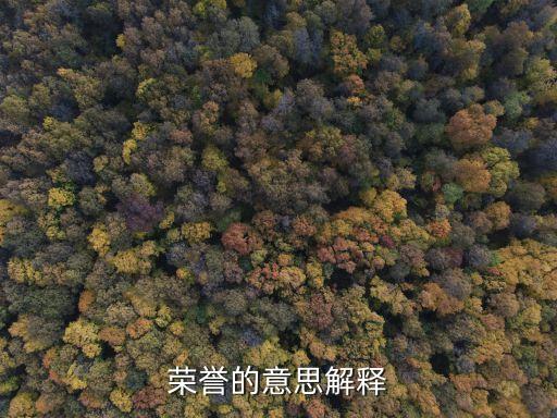 榮譽(yù)，榮譽(yù)的意思解釋