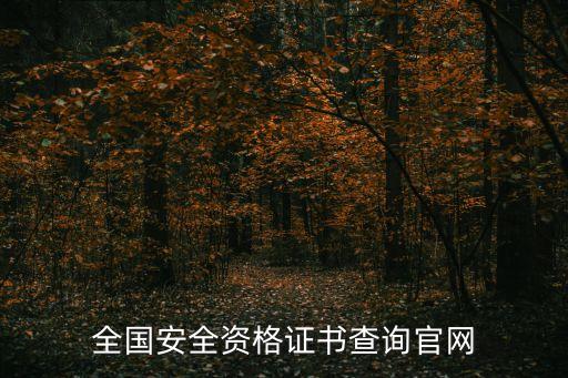 國家安全生產(chǎn)資格證書查詢，安全生產(chǎn)許可證怎么查詢